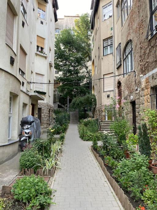 Tiny Private Apartment In Central Buda. Budapest Exterior photo